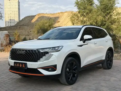 Haval H6, 2021