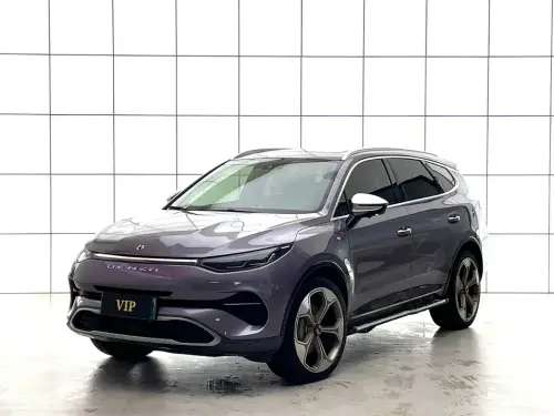 Denza X, 2020