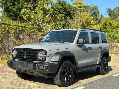 Tank 300, 2021