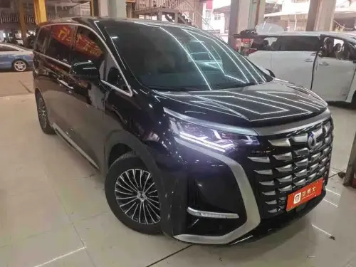 Denza D9, 2023