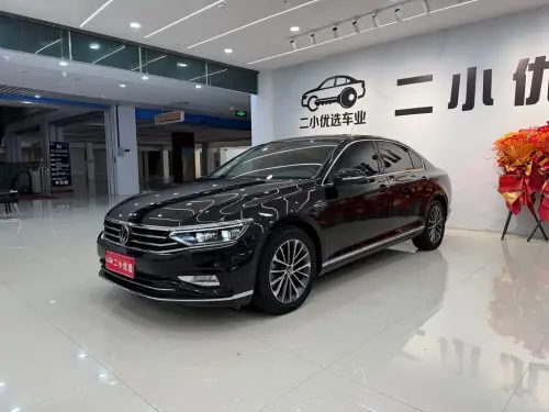 Volkswagen Magotan, 2022