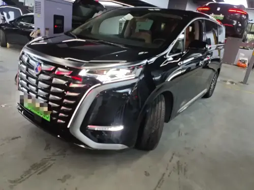 Denza D9, 2025