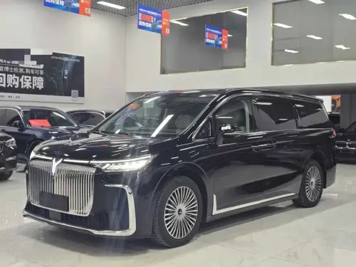 Voyah Dreamer, 2024