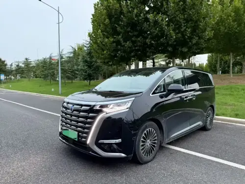 Denza D9, 2023