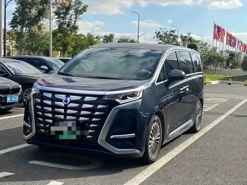 Denza D9, 2024