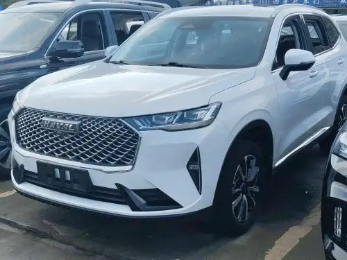 Haval H6, 2020