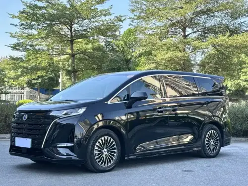 Denza D9, 2024