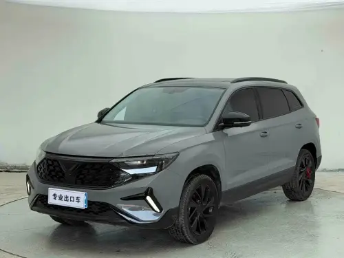 Jetta VS7, 2024