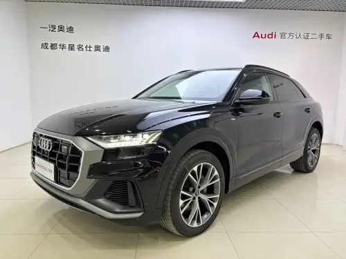 Audi Q8, 2024