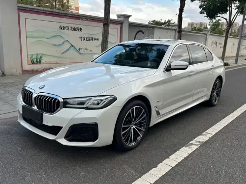 BMW 5-Series, 2020