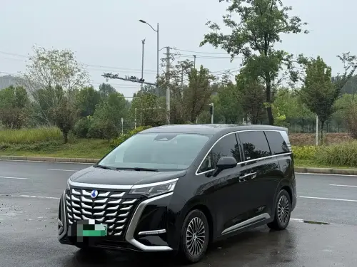 Denza D9, 2025
